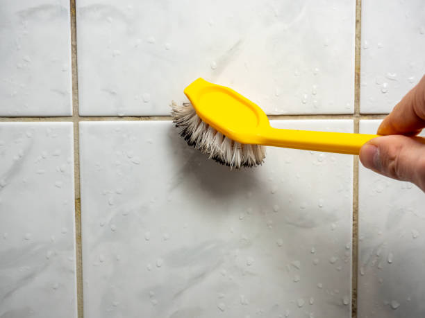 Best Mold Remediation  in Red Oak, TX