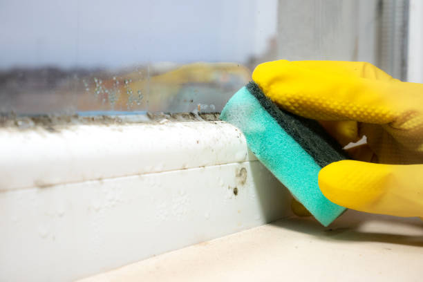 Crawl Space Mold Removal in Red Oak, TX