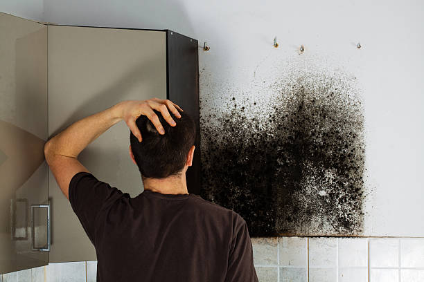 Best Best Mold Removal Companies  in Red Oak, TX